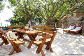 Robinson beach house Jogo, Bol